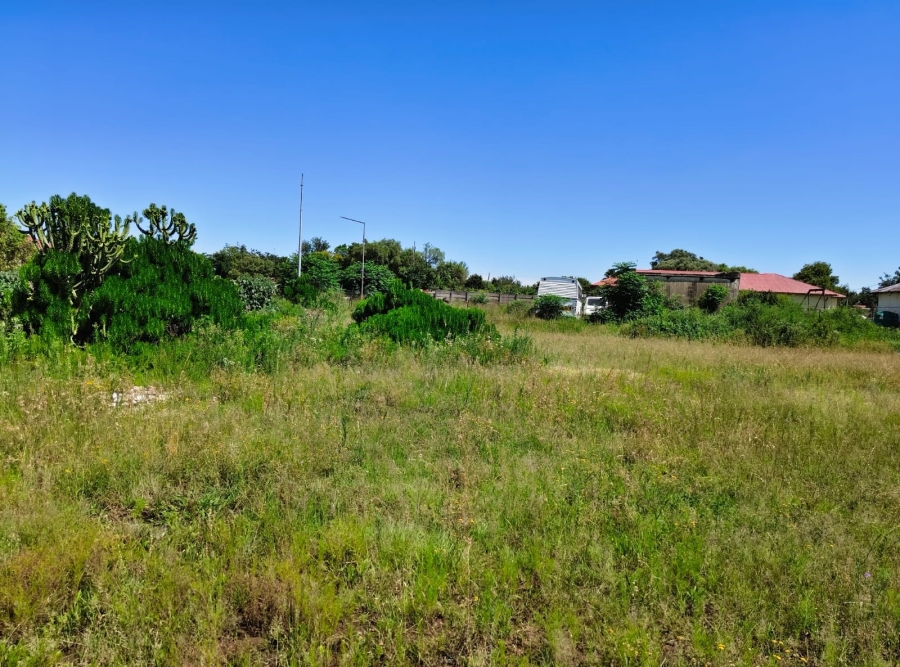 0 Bedroom Property for Sale in Theunissen Free State